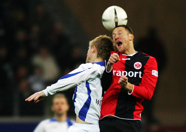 和顽强的毅 和顽强的毅